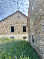 Jonathan FLEURANCE - ATELIER STANDARD